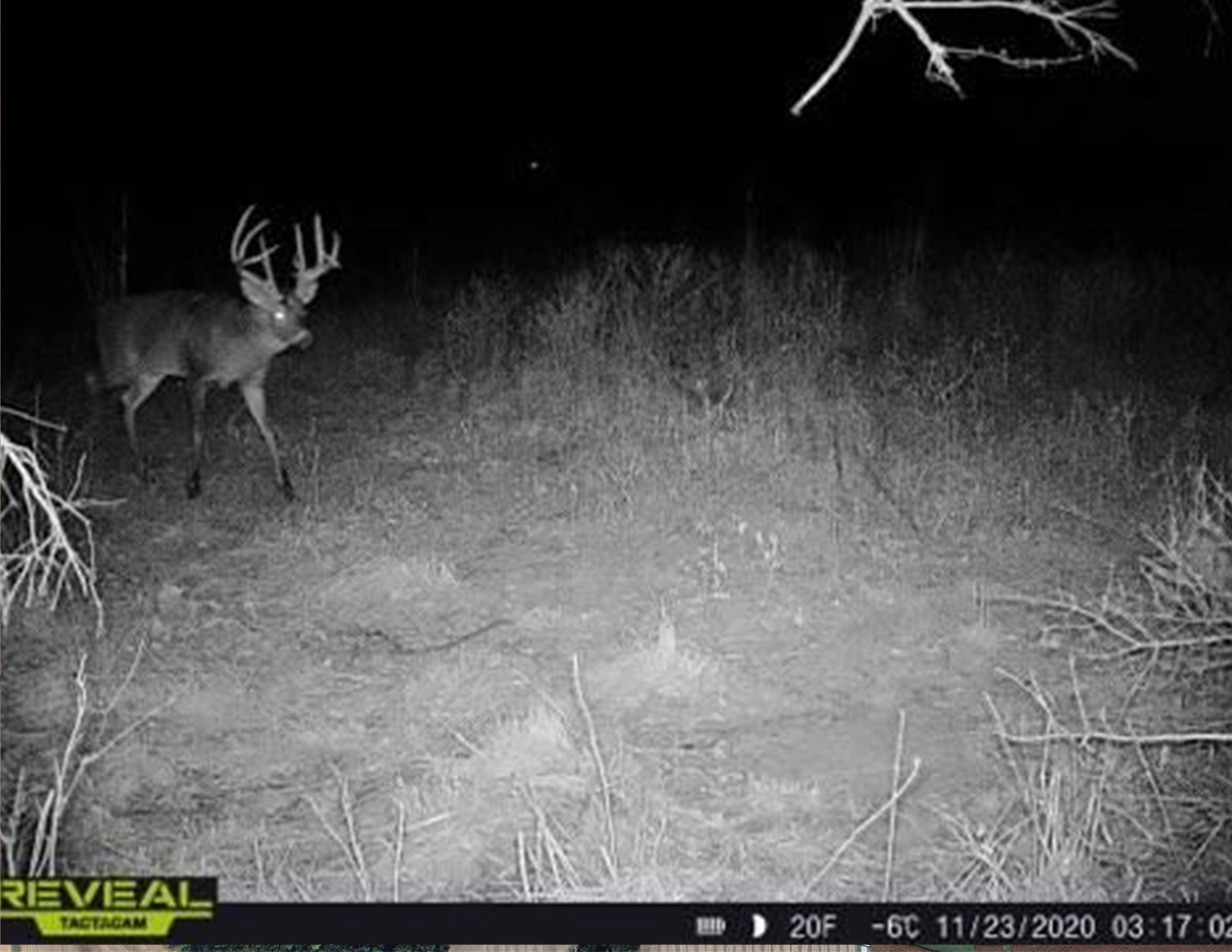 Listing Photo: 18135-SYEW0842 (1)